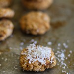 Coconut Sweet Potato Cookies - gluten free, and naturally sweetened | www.theroastedroot.net