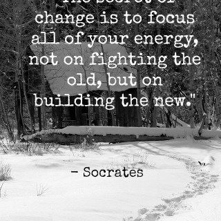 "The Secret of change is to focus all of your energy, not on fighting the old, but on building the new." - Socrates |theroastedroot.net #quote #wordsofwisdom