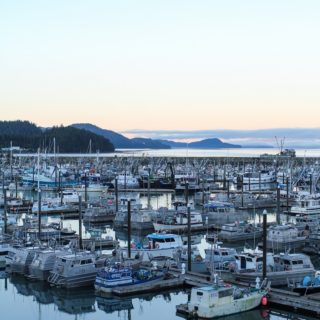 Cordova, Alaska | TheRoastedRoot.net #travel #copperriversalmon #knowyourfisherman #sustrainablesalmon