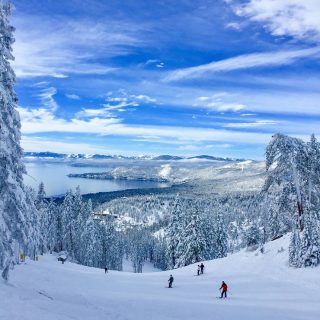 Reader Survey Results