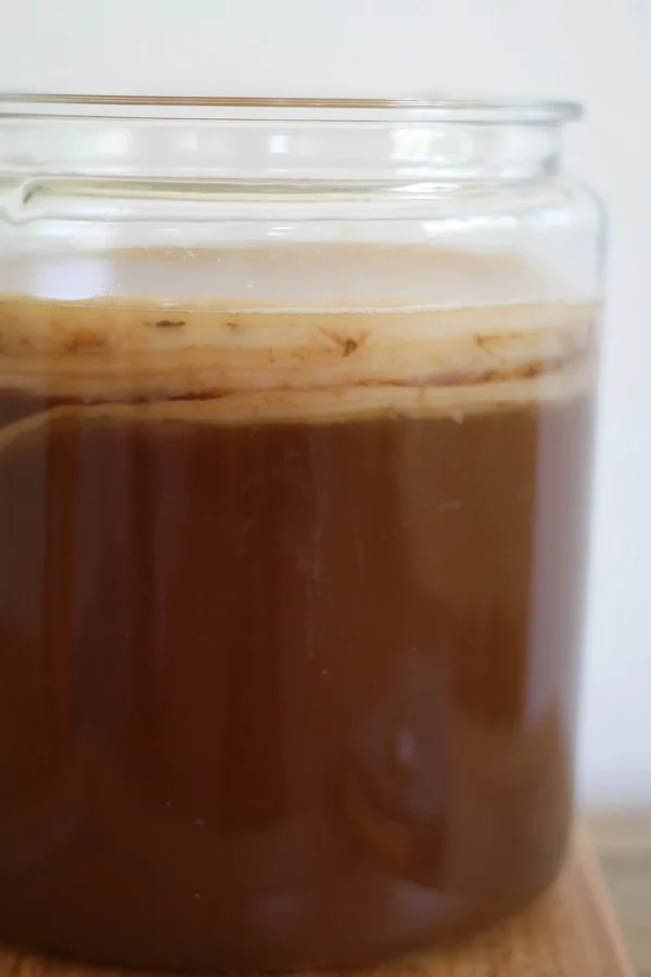 How to Make Homemade Kombucha - a tutorial on brewing your favorite naturally fermented probiotic drink at home! | www.theroastedroot.net