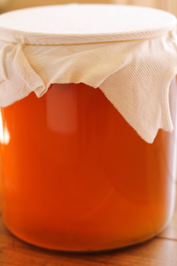 Healthy SCOBY: What Does a Healthy Kombucha SCOBY Look Like? - Bucha Brewers