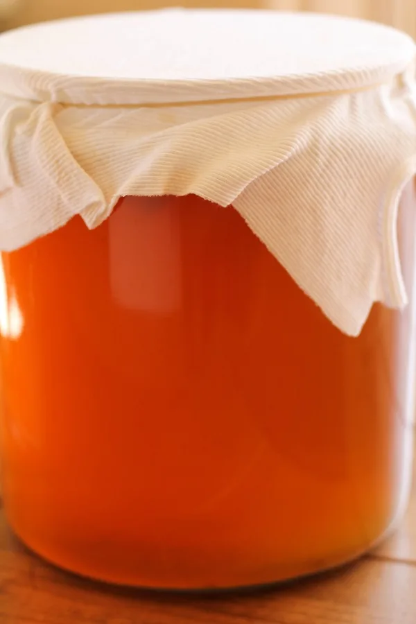 How to Make Homemade Kombucha - a tutorial on brewing your favorite naturally fermented probiotic drink at home! | www.theroastedroot.net