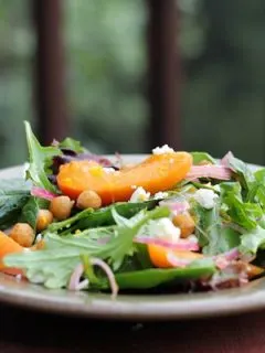 Toasted Chickpea and Apricot Salad