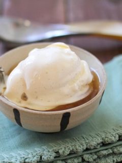 Vanilla Bean & Honey Frozen Yogurt | www.theroastedroot.net