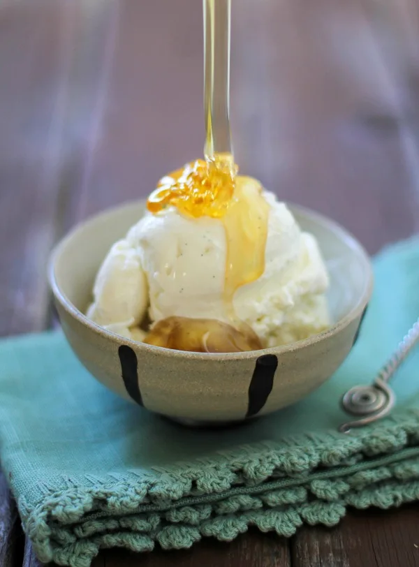 Vanilla Bean & Honey Frozen Yogurt