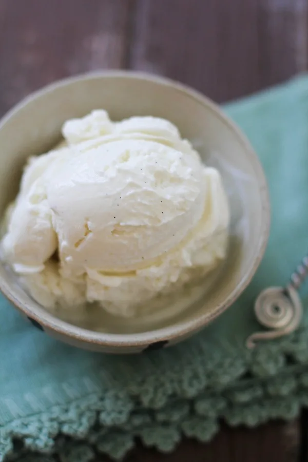 Vanilla Bean & Honey Frozen Yogurt 