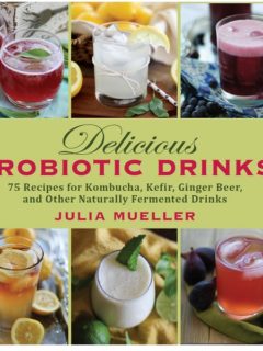 Delicious Probiotic Drinks by Julia Mueller