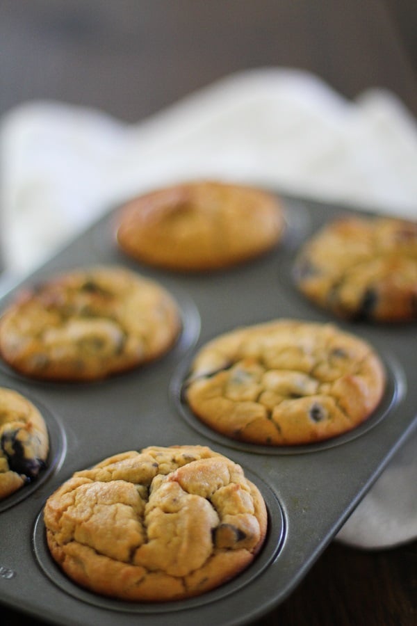 Gluten Free Blueberry Chocolate Chunk Muffins | https://www.theroastedroot.net
