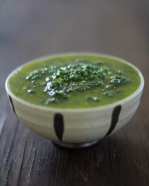Chimichuri Sauce | https://www.theroastedroot.net