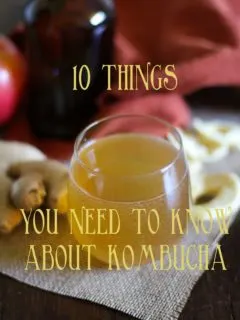10 Things You Need To Know About Kombucha + Apple Ginger Kombucha Recipe | www.theroastedroot.net
