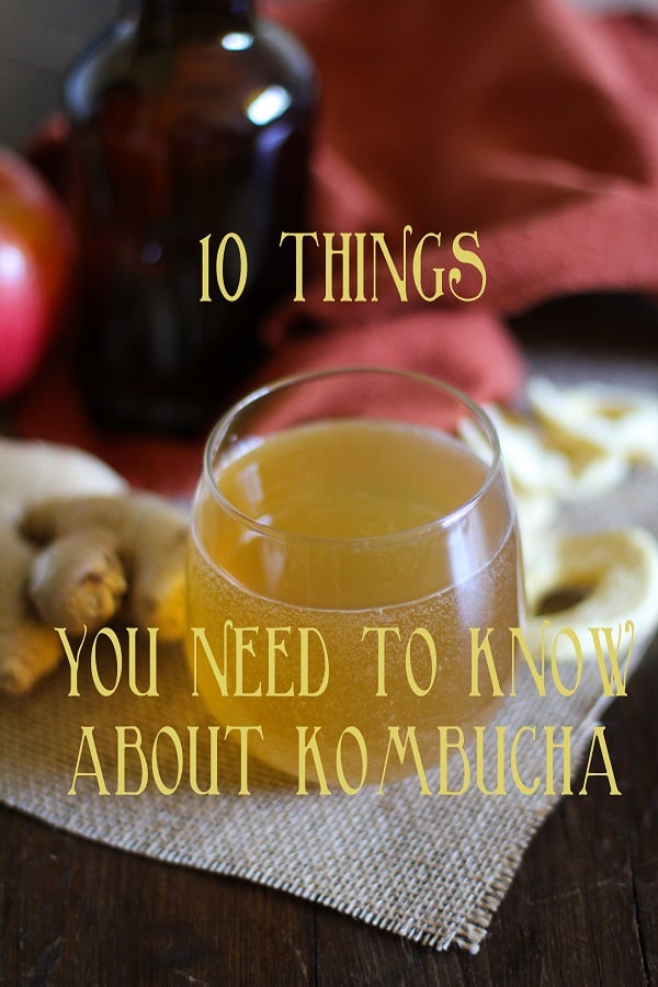 10 Things You Need To Know About Kombucha + Apple Ginger Kombucha Recipe | www.theroastedroot.net
