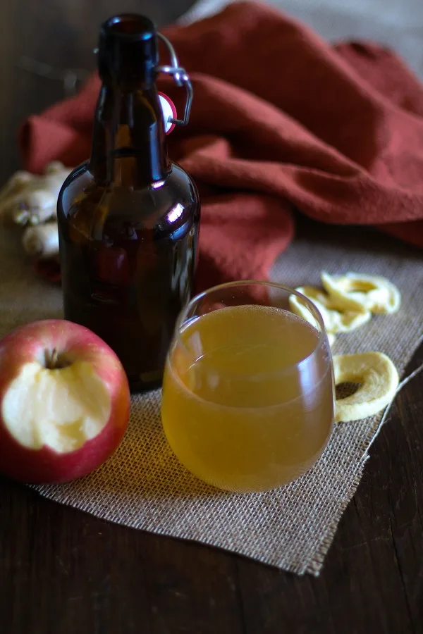 Homemade Apple Ginger Kombucha + 10 Things You Need to Know About Kombucha | www.theroastedroot.net
