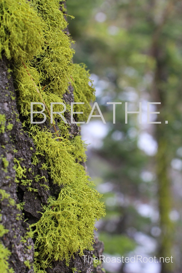breathe.