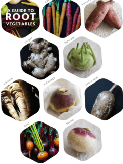 A Guide to Root Vegetables | www.theroastedroot.net