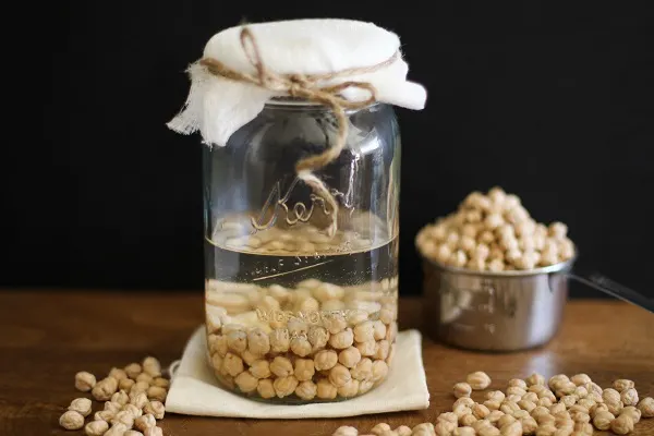 How to Sprout Chickpeas (and other legumes, grains, seeds, and nuts)