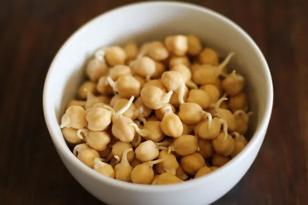 How to Sprout Chickpeas (and other legumes, grains, seeds, and nuts)