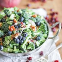 Healthier Broccoli Salad with Yogurt Dressing, blueberries, cranberries, bacon, and honey-toasted walnuts
