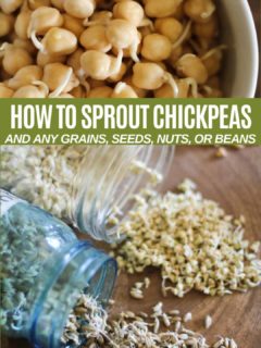 How to Sprout Chickpeas