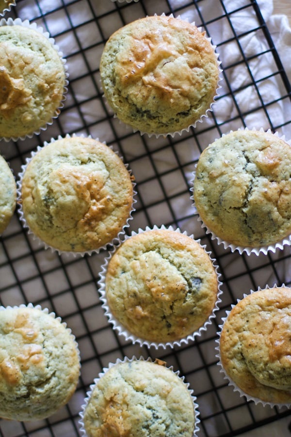 Gluten Free Blueberry Rhubarb Muffins