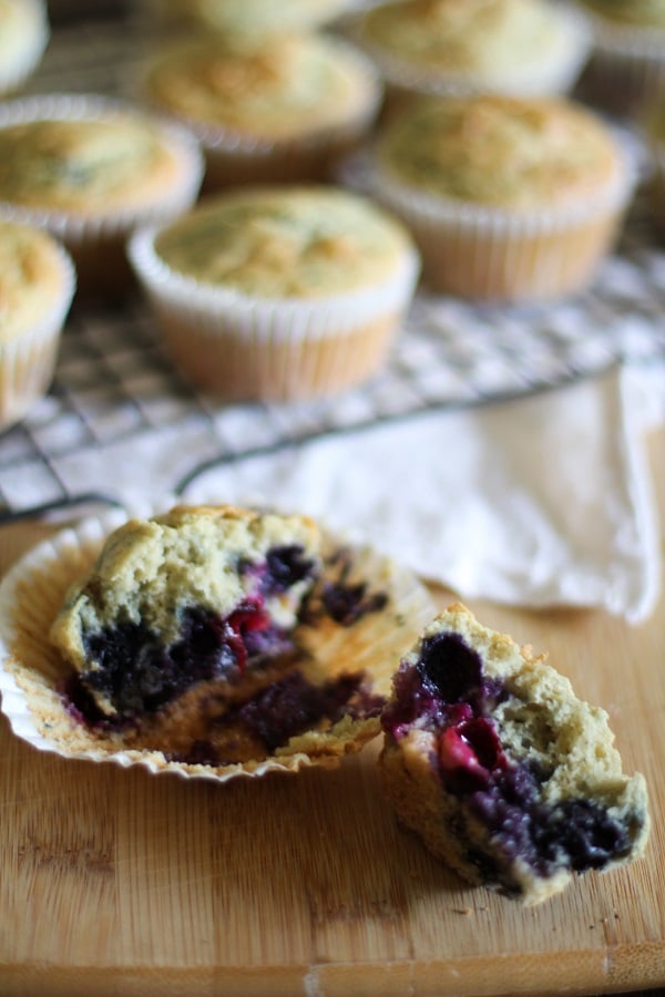 Gluten Free Blueberry Rhubarb Muffins