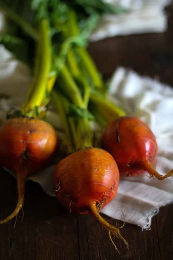 Sliced Chioggia Beet Salad with Parsley Pesto and Goat Cheese