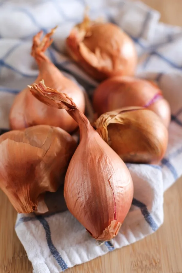 Caramelized Shallot and Mushroom Turkey Burgers