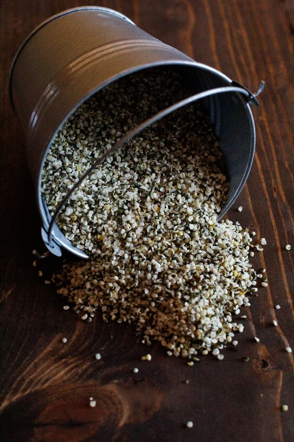 Chocolate Hemp Seed Smoothie | full of protein, antioxidants, and minerals