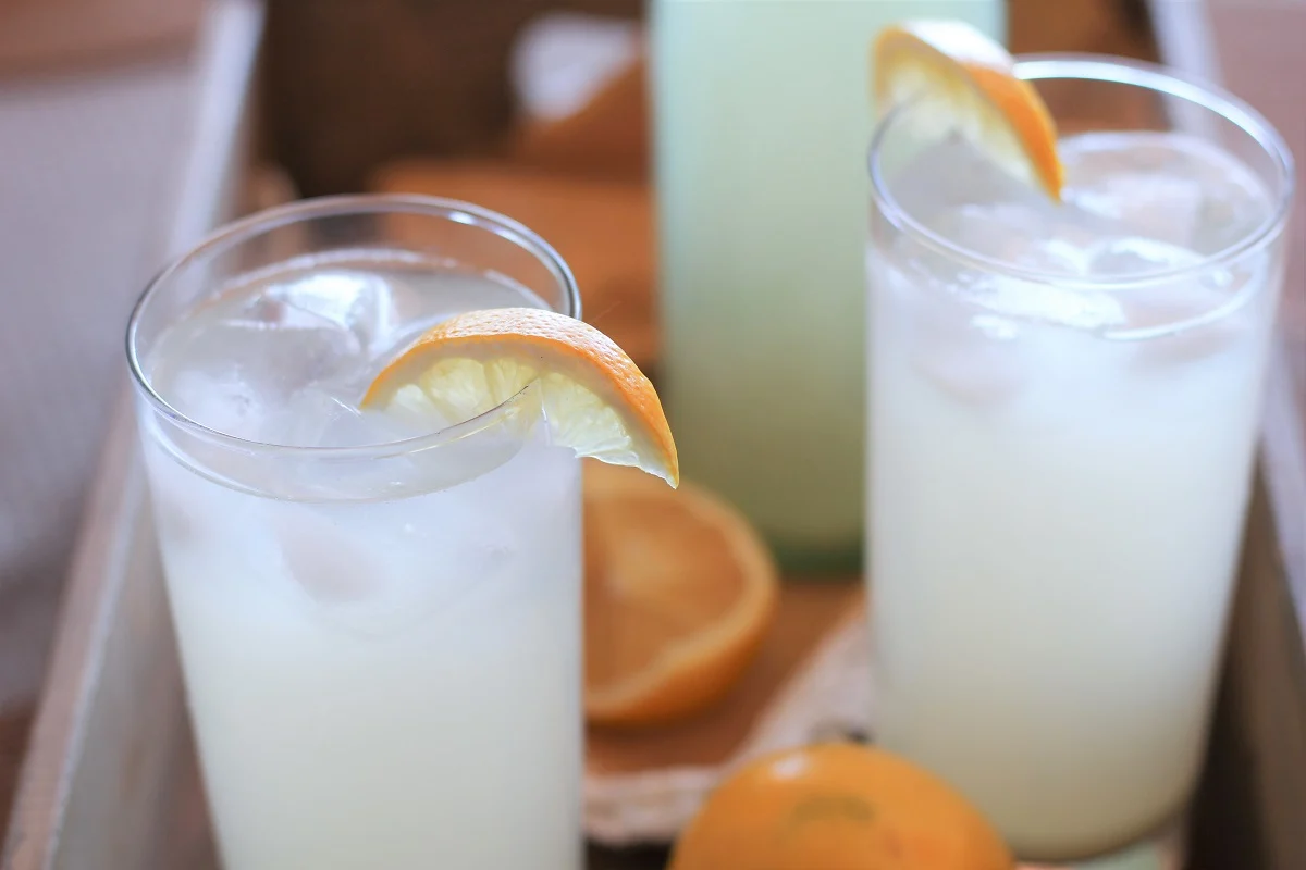 Horizontal image of two glasses of homemade ginger beer with lemon slices