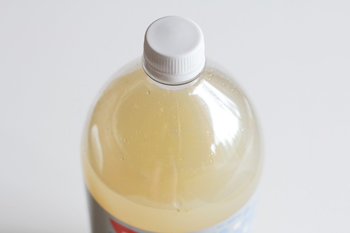 Pour the ginger beer into a 2 liter plastic bottle