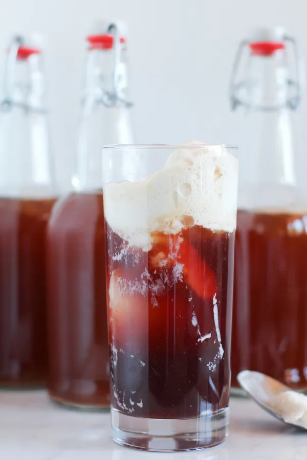 Pomegranate Kombucha Floats