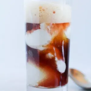 Pomegranate Kombucha Floats