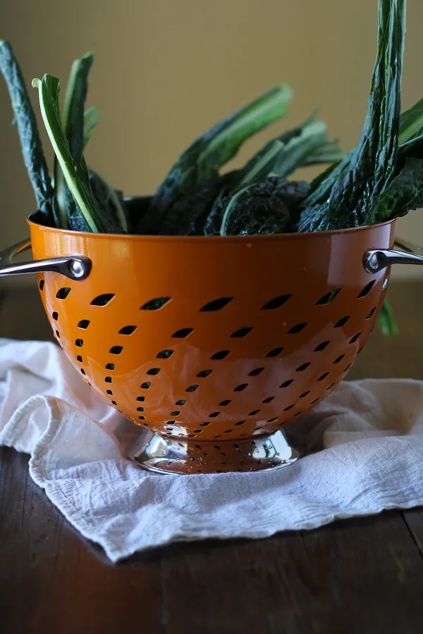 lemony_kale_salad_with_parmesan_crisps_1