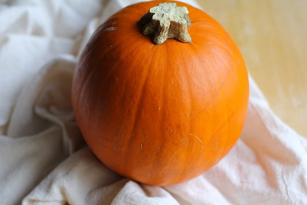 How to Roast a Pumpkin