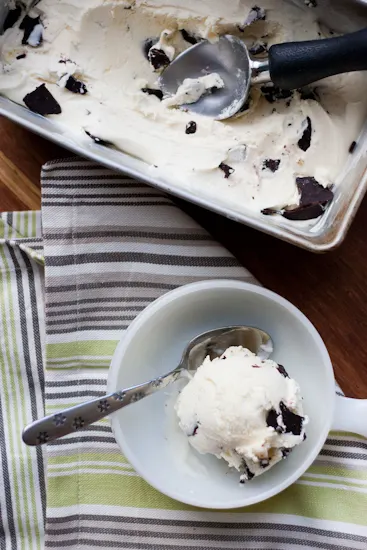 Primal Mint Chocolate Chip Ice Cream from Perry's Plate #paleo