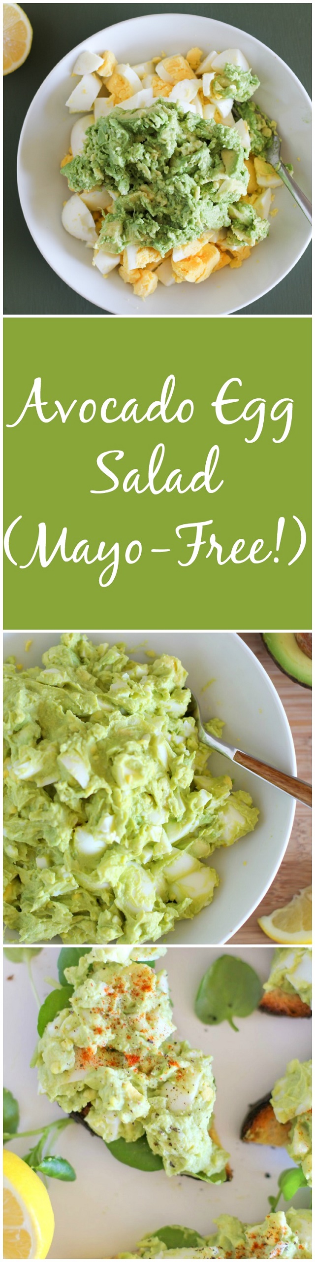 Avocado Egg Salad (Mayo-Free!) - an easy 4-ingredient lunch recipe | theroastedroot.net #paleo