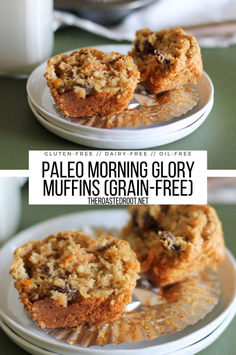 Paleo Morning Glory Muffins - grain-free, dairy-free, refined sugar-free, and healthy