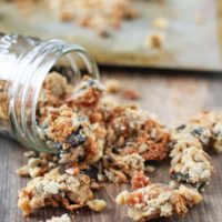 Grain-Free Tahini Granola with Apricots and Cherries - paleo, gluten-free, dairy-free, naturally sweetened and healthy! Plus the formula for making perfect paleo granola with any nut or seed