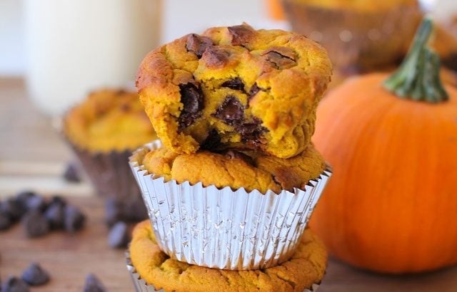 Grain-Free Chocolate Chip Pumpkin Muffins made with coconut flour and sweetened with honey (or pure maple syrup) - healthy enough to eat for breakfast! #muffin #recipe #almostpaleo #glutenfree