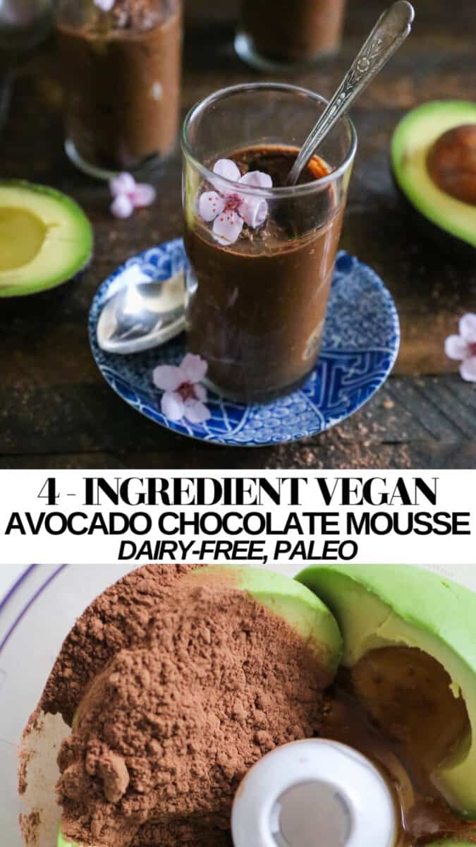 Vegan Avocado Chocolate Mousse