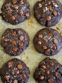 Grain-Free Salted Double Chocolate Buckwheat Cookies - a super rich gluten-free dessert! TheRoastedRoot.net