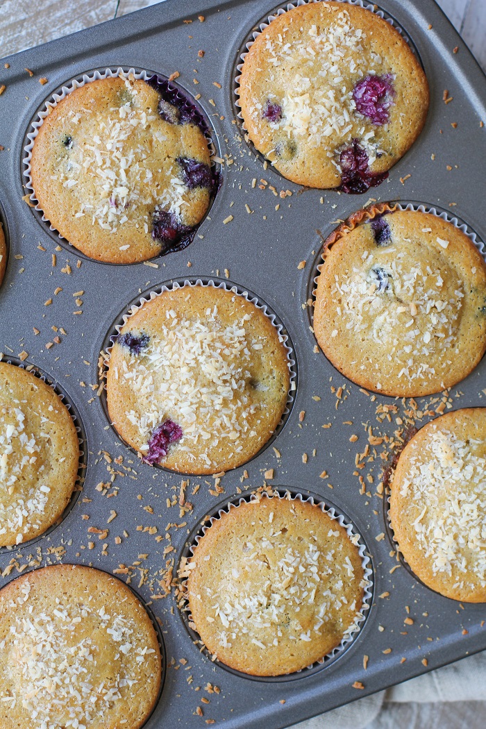 Paleo Blueberry Muffins - grain-free, refined sugar free, dairy free - made with coconut flour, tapioca flour, and honey #healthy #recipe #glutenfree