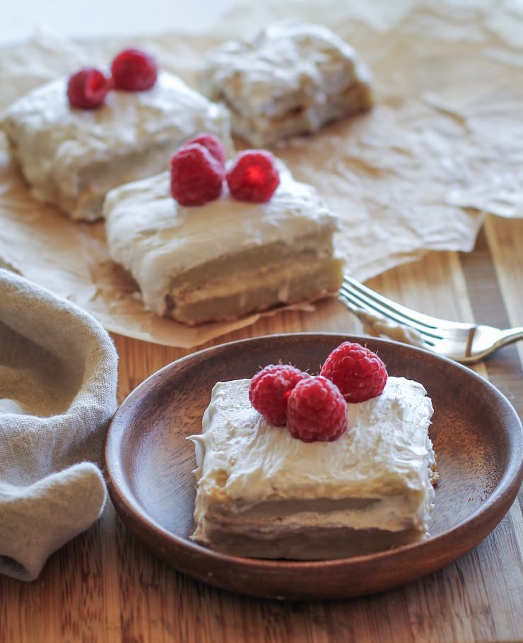 Healthy Blender Raspberry Ice Cream - Primavera Kitchen