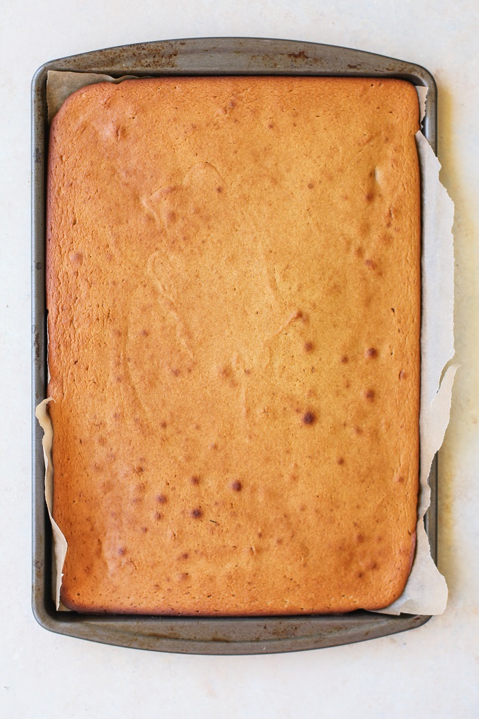 Paleo Vanilla Cake made with coconut flour, tapioca flour, and honey | TheRoastedRoot.net #healthy #dessert #recipe