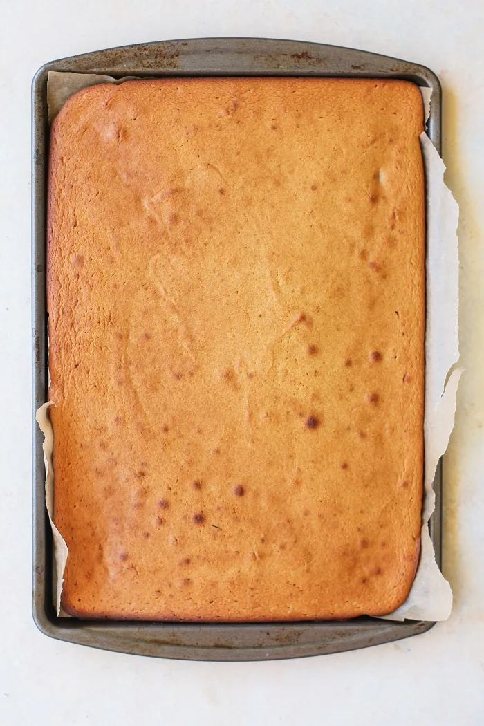 Paleo Vanilla Cake made with coconut flour, tapioca flour, and honey | TheRoastedRoot.net #healthy #dessert #recipe