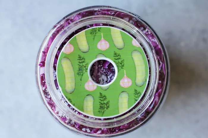 How to make Homemade Sauerkraut #recipe #tutorial #healthy #probiotics 