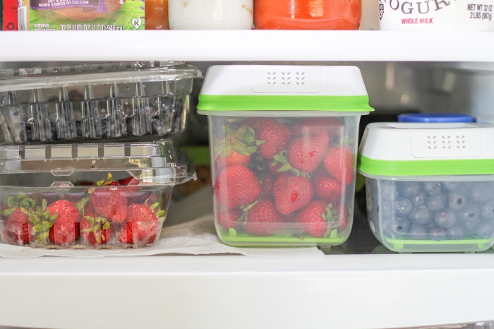 Product Review: Keeping it Fresh with FreshWorks by Rubbermaid - The  Roasted Root