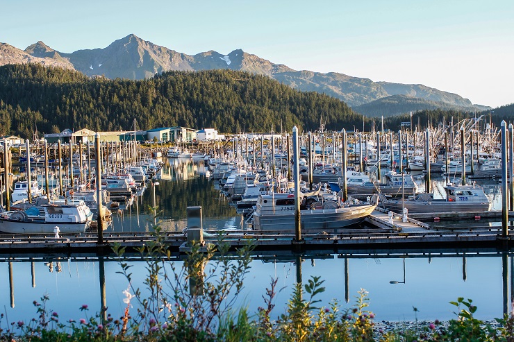 Cordova, Alaska | TheRoastedRoot.net #travel #copperriversalmon #knowyourfisherman #sustrainablesalmon 