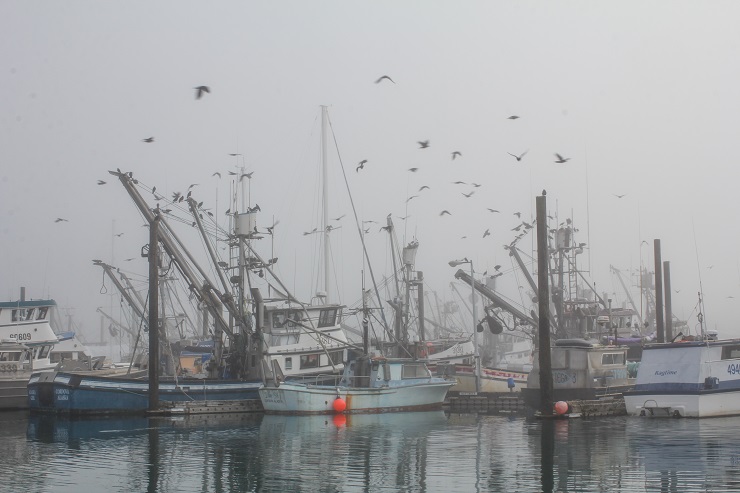 Cordova, Alaska | TheRoastedRoot.net #travel #copperriversalmon #knowyourfisherman #sustrainablesalmon 