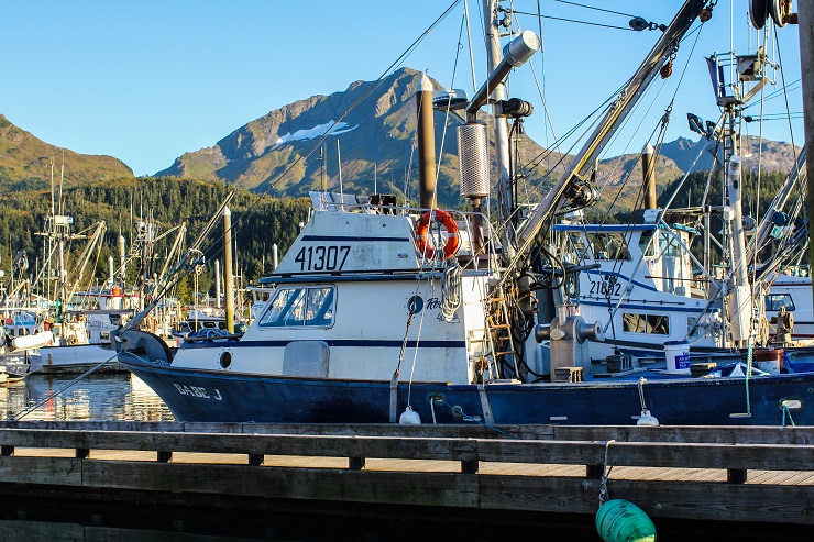 Cordova, Alaska | TheRoastedRoot.net #travel #copperriversalmon #knowyourfisherman #sustrainablesalmon 